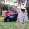 Ant camping