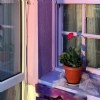 Kıyı Motel